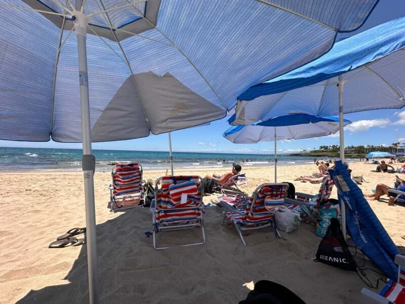 Kona: Cruise Ship Beach Excursion with Tastings - Key Points