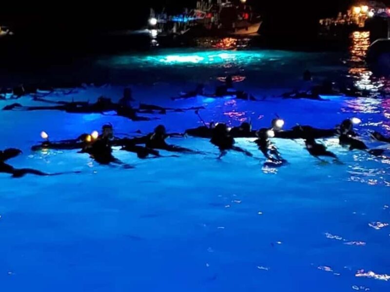 Kona: Manta Ray Night Snorkel Adventure - Practical Details