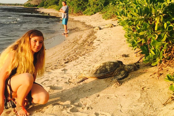Kona Shore Excursion: Sea Turtles, Historic Kona & Coffee - Historic Sites and Reconstructed Huts