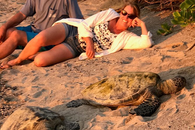 Kona Shore Excursion: Sea Turtles, Historic Kona & Coffee - Lunch Options and Drop-off Points