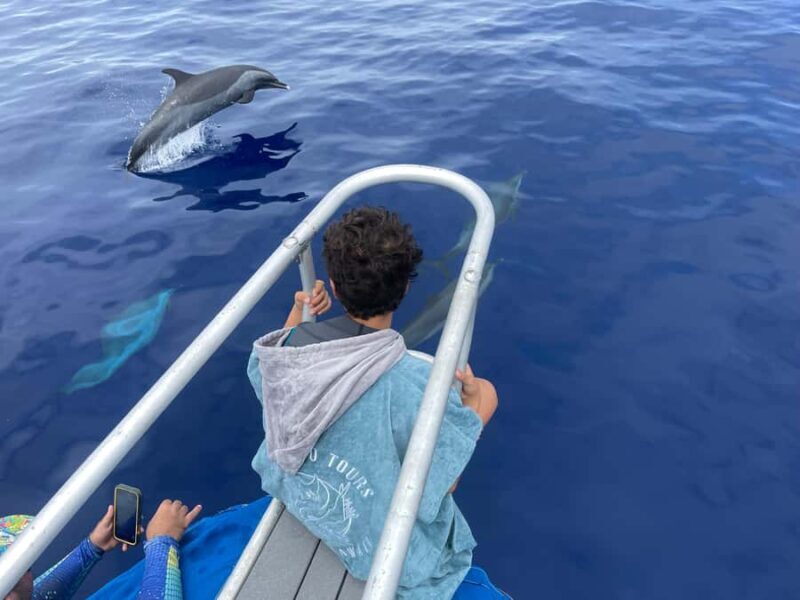 Kona: Small Group Ocean Safari + Snorkel - Key Points