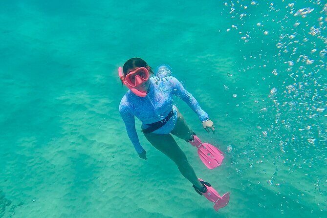 Kona Snorkeling Adventure Open Charter - The Experience: What to Expect from the Kona Snorkeling Adventure