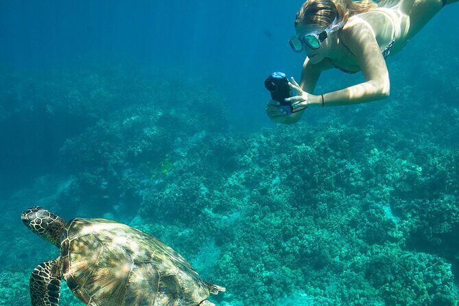 Kona Snorkeling Adventure Open Charter - FAQs