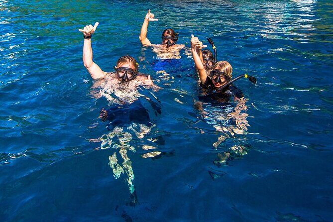 Kona Snorkeling Gear Rental Dive Into Adventure - The Essentials of Kona Snorkeling Gear Rental