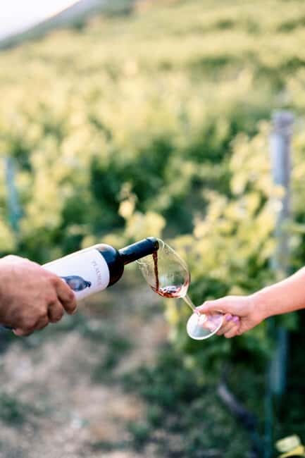 Konavle Valley: Wine tasting at Dubrovnik Cellars - Authenticity & Authentic Experiences