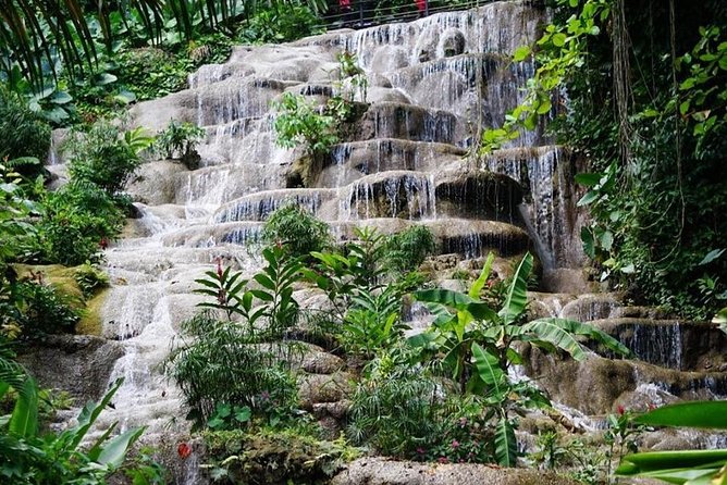 Konoko Falls and Garden Tour From Kingston - Private Tour Details