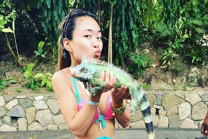 Konoko Falls and Garden Tour From Kingston - Frequently Asked Questions