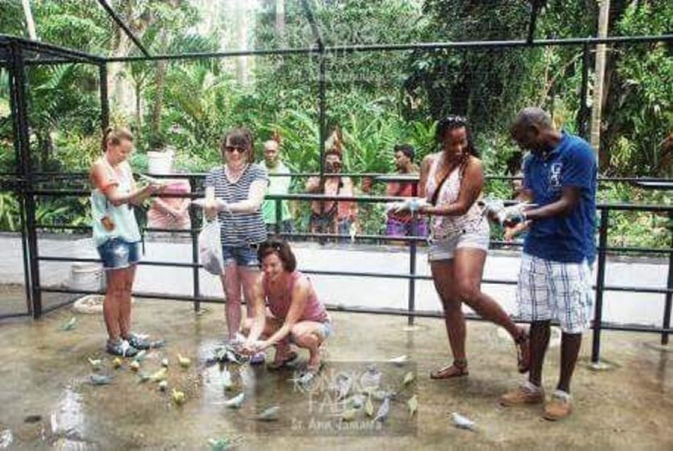 Konoko Falls and Garden Tour - Key Points
