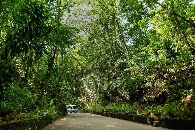 Konoko Falls City Highlights Ocho Rios Jamaica entry fee included - Authenticity and Guide Quality