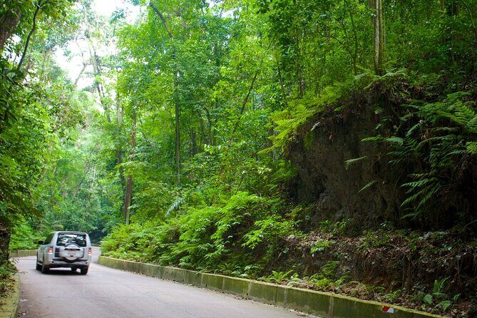 Konoko Falls City Highlights Ocho Rios Jamaica entry fee included - Final Thoughts