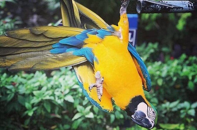 Konoko Falls & Park Private Transportation - Frequently Asked Questions