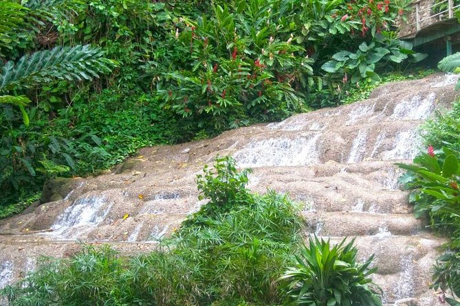 Konoko Garden & Mohoe Falls - Additional Considerations