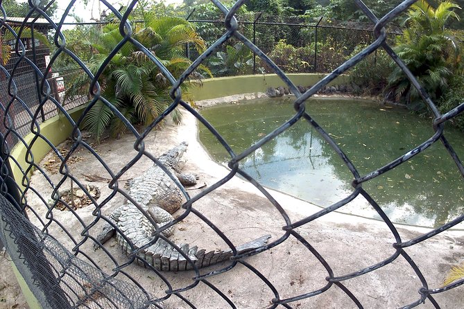 Konoko Waterfall and Zoo - Transportation and Pickup