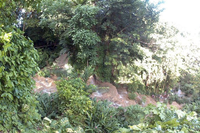 Konoko Waterfall and Zoo - Accessibility and Inclusion