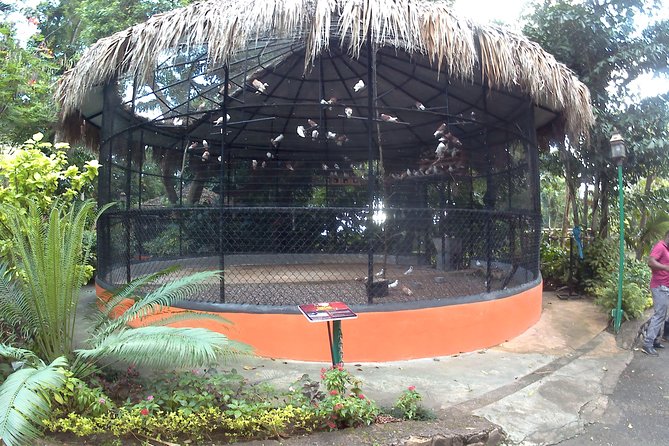 Konoko Waterfall and Zoo - Frequently Asked Questions