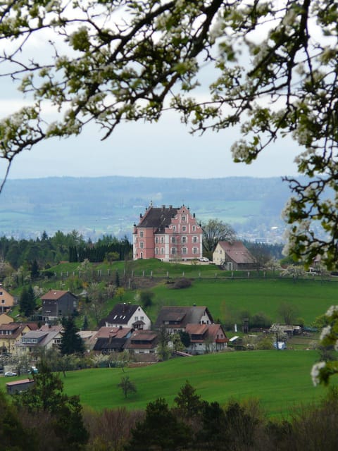 Konstanz: Express Walk with a Local in 60 minutes - The Value of a 60-Minute Guided Walk