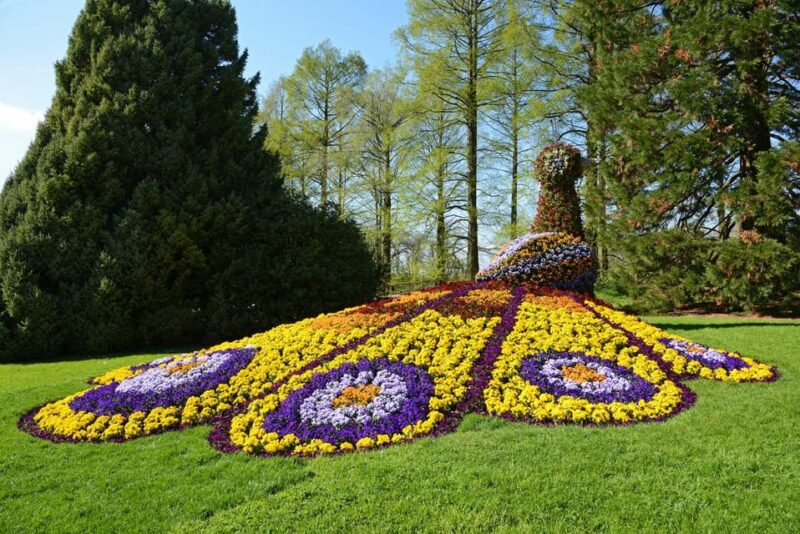Konstanz: Mainau Island Entry Ticket - Visitor Information