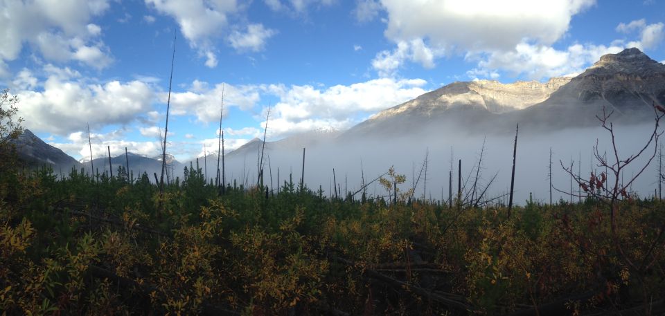 Kootenay National Park: Stanley Glacier Valley Tour - Itinerary of the Tour