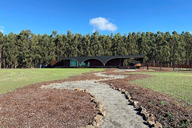 Kooyang Yana Full Day Tour - Budj Bim - Discovering Indigenous Heritage and Natural Wonders on the Kooyang Yana Full Day Tour