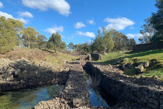 Kooyang Yana Full Day Tour - Budj Bim - Understanding the Experience: What to Expect