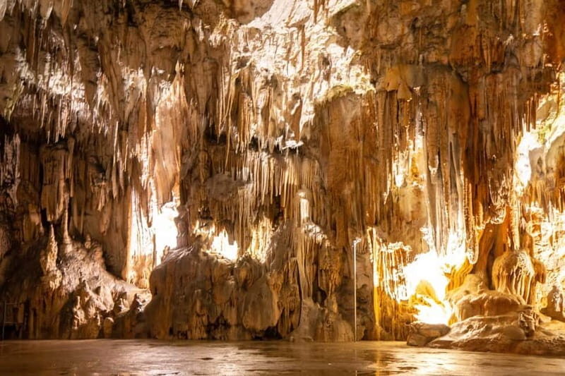 Koper: Postojna Cave and Predjama Castle Tour and Tickets - A Closer Look at the Tour Experience