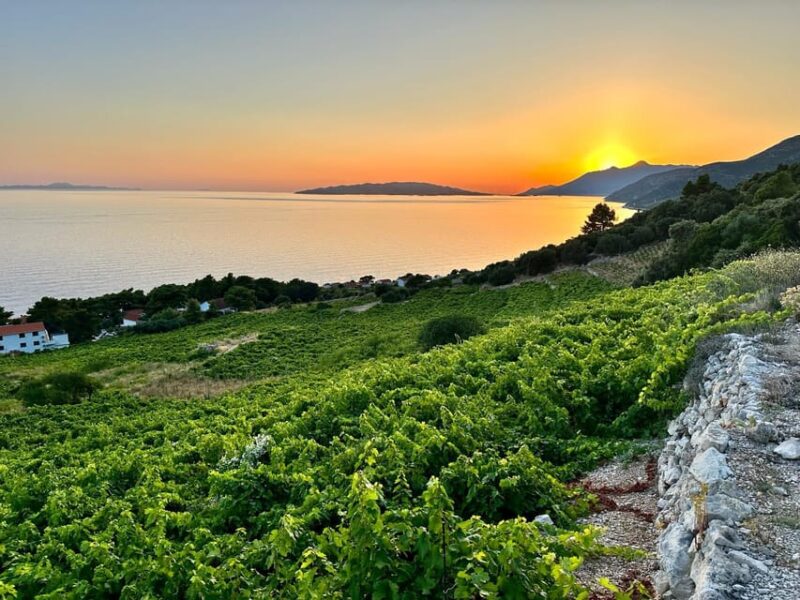 Korčula and Pelješac Peninsula Day Tour - Highlights of the Tour