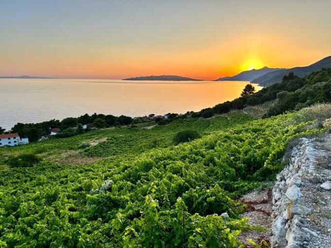 Korčula and Pelješac Peninsula Day Tour - Optional Extra Fees