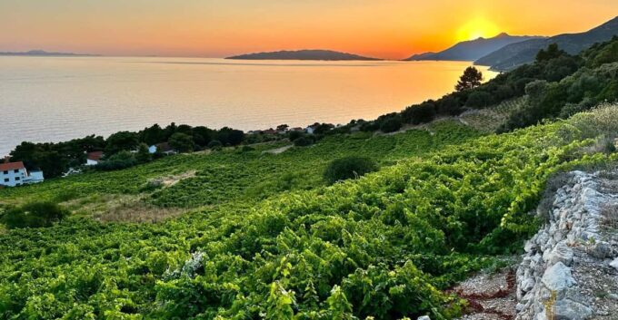 Korčula and Pelješac Peninsula Day Tour - Frequently Asked Questions