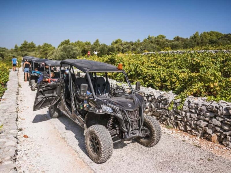 Korcula Buggy Safari With Wine Tasting - Key Points