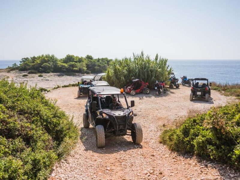 Korcula Buggy Safari With Wine Tasting - Who Will Love This Tour?