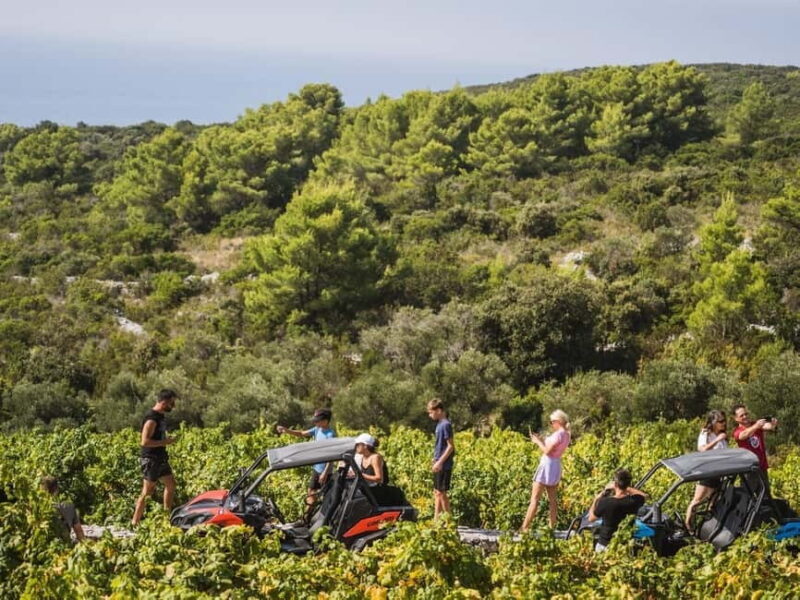 Korcula Buggy Safari With Wine Tasting - FAQ