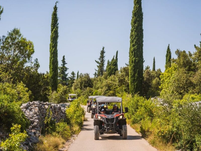 Korcula Buggy Safari With Wine Tasting - Good To Know