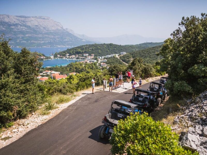 Korcula Buggy Safari With Wine Tasting - Pricing