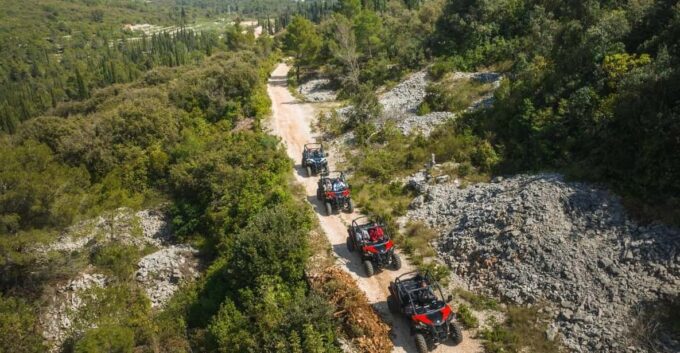 Korcula Buggy Safari With Wine Tasting - Important Information