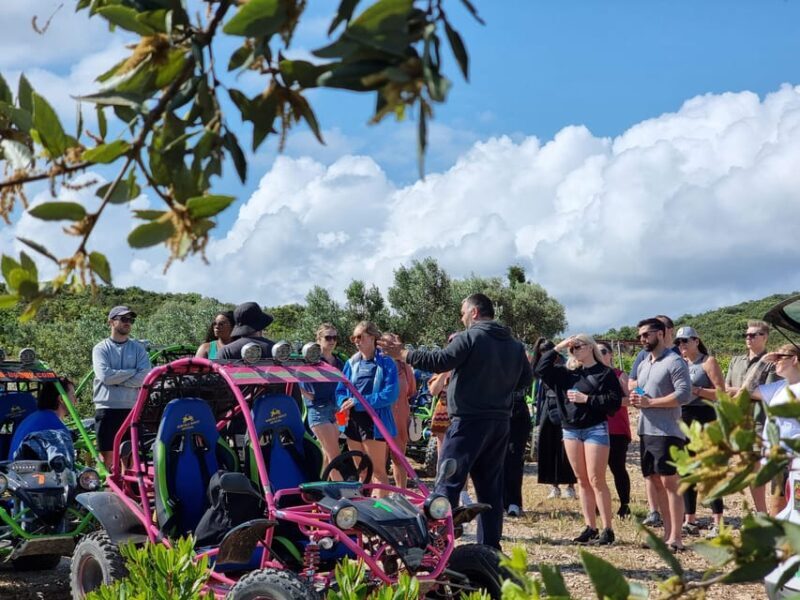 Korcula Buggy Tour Including our Local Food and Wine Tasting - Practical Details and Tips