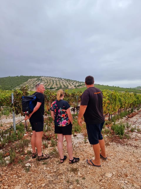 Korcula Buggy Tour Including our Local Food and Wine Tasting - Final Thoughts: Who Should Consider This Tour?