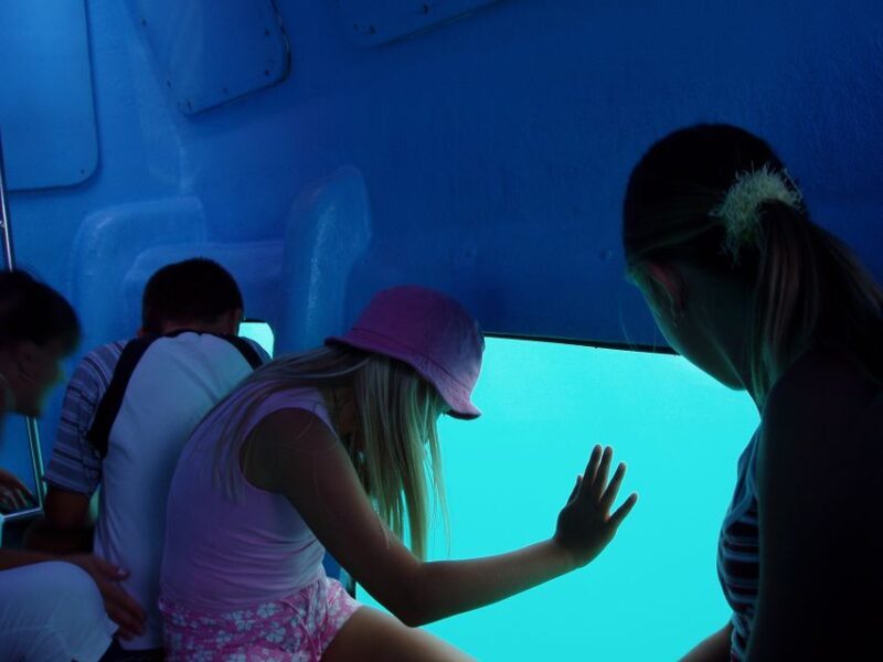 Korcula: Semi-Submarine Tour - Introduction