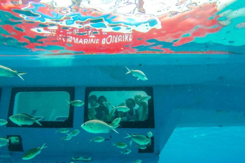Korcula: Semi-Submarine Tour - Who Should Consider This Tour?