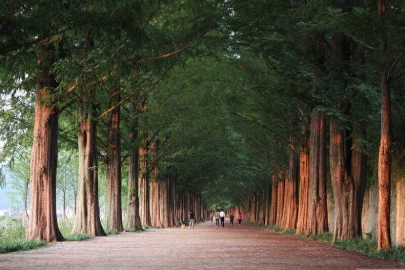 Korea: Trip and Itinerary Planning - Travel Effortlessly! - Why This Service Might Be the Best Choice