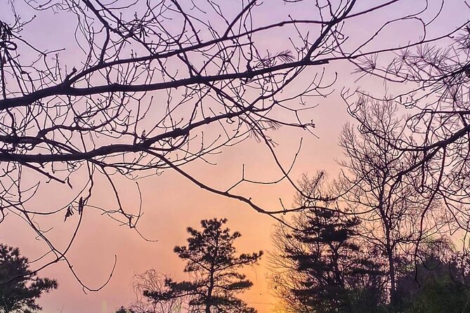 Korean Cemetery and Folklore Trek - Booking Information