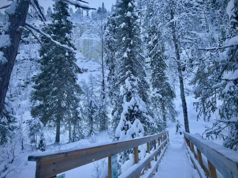 Korouoma: Frozen Waterfall Hiking Tour - Unique Hiking Experience