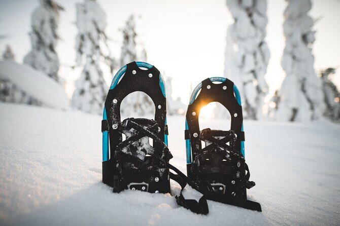 Korouoma National Park & Frozen Waterfalls - Key Points