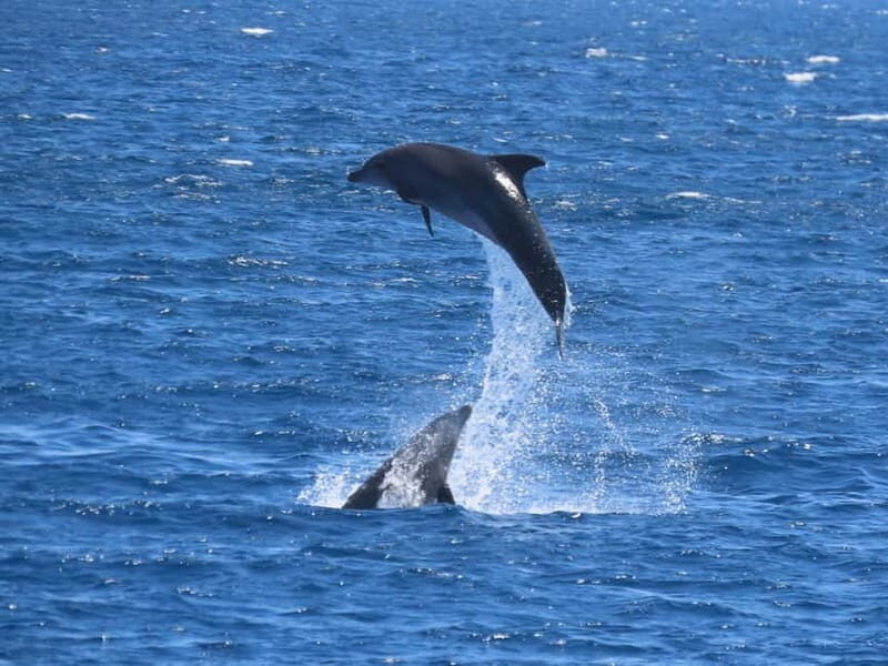 Kos: 3-Island Cruise with Lunch and Hotel Transfer - Introduction