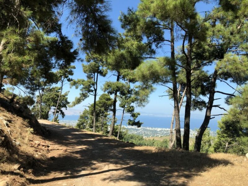 Kos 4x4 Exploration: Panoramic Views, Villages & Flavors - Who Is This Tour Perfect For?