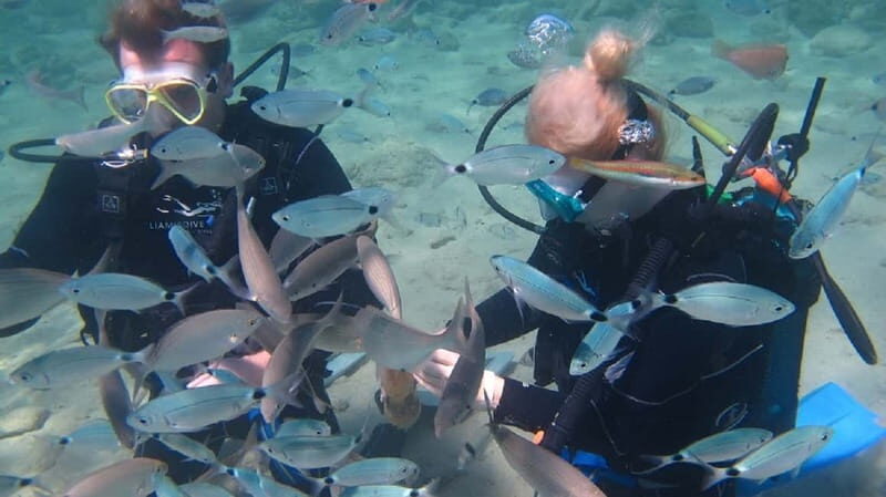 Kos: Beginner Scuba Diving at Pserimos Island - Whats Included and Whats Not