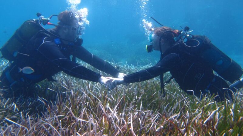 Kos: Beginner Scuba Diving at Pserimos Island - Who Is This Tour Best For?