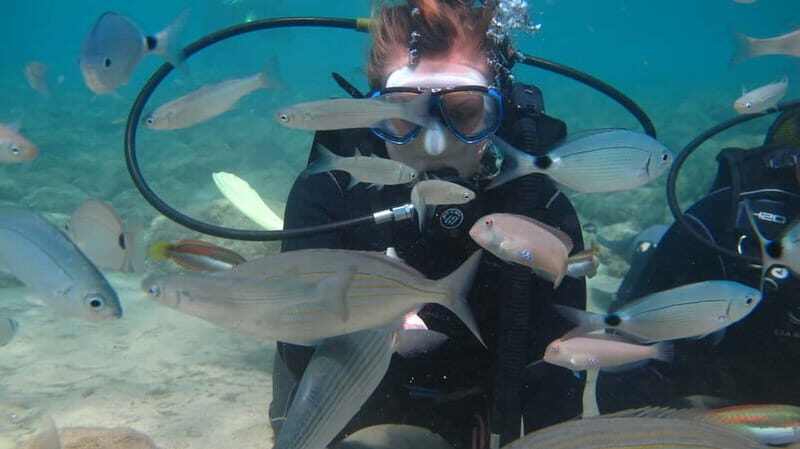 Kos: Beginner Scuba Diving at Pserimos Island - Final Thoughts