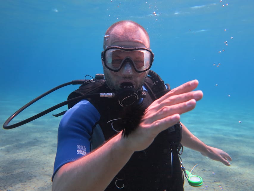 Kos: Beginner Scuba Diving from the Beach with Pickup - Introduction: What to Expect from this Kos Beach Scuba Experience