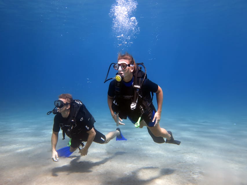 Kos: Beginner Scuba Diving from the Beach with Pickup - Key Points