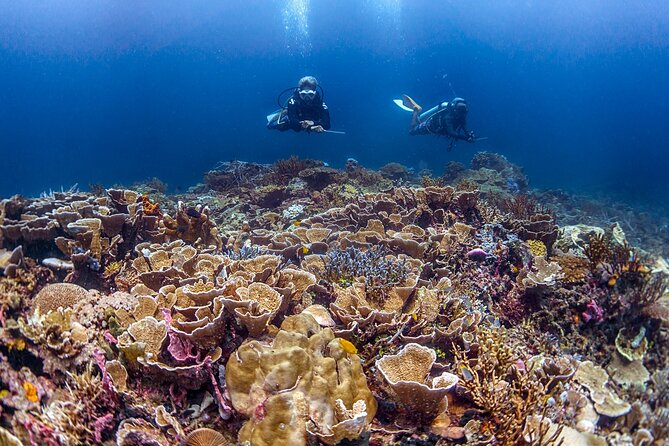 Kota Kinabalu Leisure Scuba Diving Trip (3 Dives) - Inclusions and Exclusions